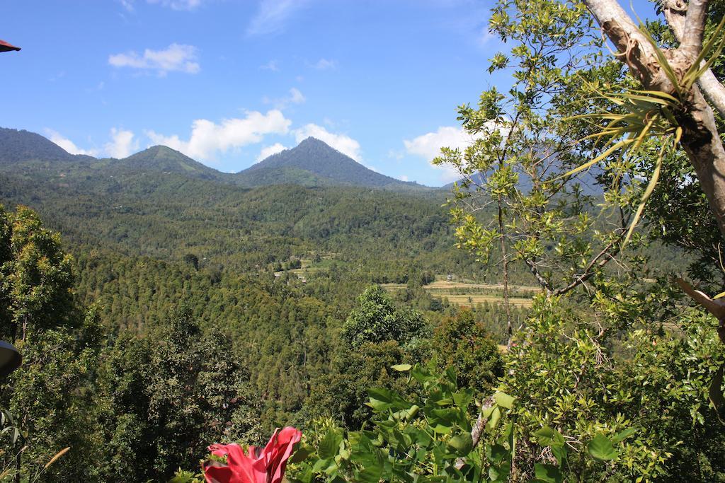 Made Oka Homestay And Warung Мундук Екстер'єр фото